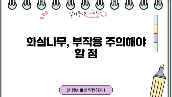 화살나무 효능과 먹는 법| 건강에 좋은 효과와 활용법 총정리 | 화살나무, 약용, 차, 섭취 방법, 부작용