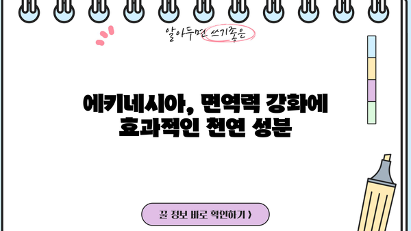 에키네시아 효능, 추출물 & 추천 제품, 부작용까지 완벽 정리 | 면역력 강화, 감기 예방, 건강 정보