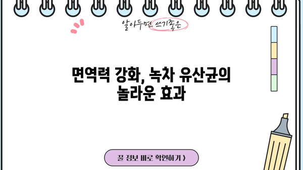 녹차 유산균의 놀라운 효능| 녹차 유래 유산균 & 식물성 유산균 추천 | 장 건강, 면역력, 다이어트, 녹차 효능