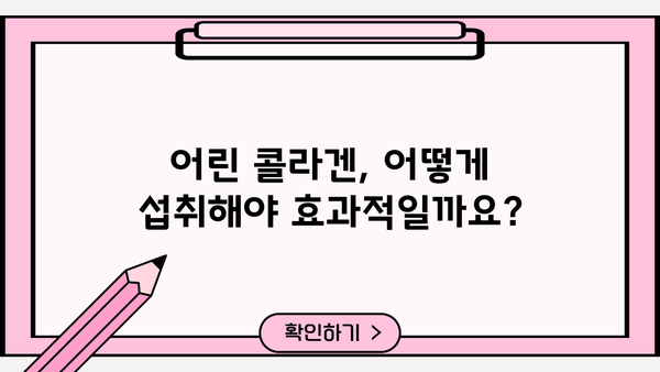 어린 콜라겐, 효능과 추천, 부작용 완벽 정리 | 피부 탄력, 건강, 섭취 가이드