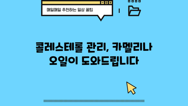카멜리나 오일의 놀라운 효능| 피토스테롤 성분의 비밀 | 피부 건강, 콜레스테롤, 항산화