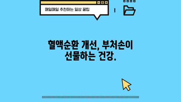 혈관 건강을 위한 특급 처방! 부처손의 놀라운 효능 | 혈관 건강, 부처손 효능, 혈액순환 개선, 건강 식단