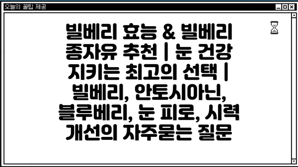 빌베리 효능 & 빌베리 종자유 추천 | 눈 건강 지키는 최고의 선택 | 빌베리, 안토시아닌, 블루베리, 눈 피로, 시력 개선