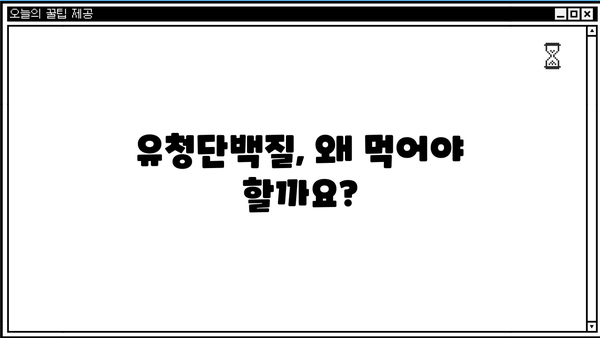 유청단백질 효능 제대로 알고, 부작용 없이 먹는 방법| 섭취 가이드 & 추천 제품 | 단백질 보충, 근육 성장, 건강 팁