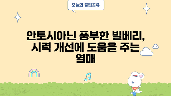 빌베리 효능 & 빌베리 종자유 추천 | 눈 건강 지키는 최고의 선택 | 빌베리, 안토시아닌, 블루베리, 눈 피로, 시력 개선