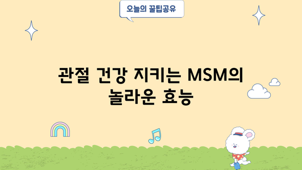 MSM 식이유황의 관절 건강 효능| 엠에스엠 영양제 선택 가이드 | 관절 건강, 엠에스엠 효능, 영양제 추천