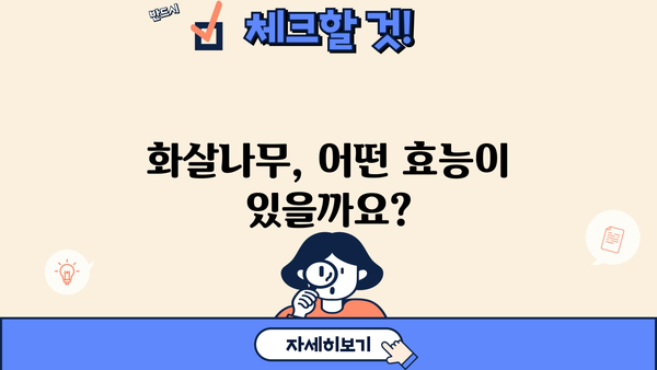 화살나무 효능과 먹는 법| 건강에 좋은 효과와 활용법 총정리 | 화살나무, 약용, 차, 섭취 방법, 부작용