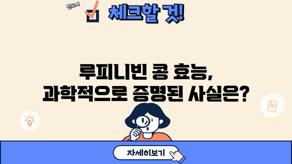 루피니빈 효능, 당뇨콩 효과와 부작용 완벽 정리 | 루피니빈 콩 먹는 법, 당뇨콩 추천