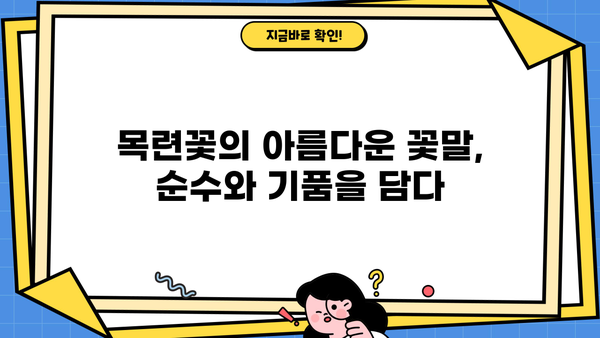 목련꽃차 효능과 아름다운 꽃말| 봄 향기 가득한 차 한 잔의 매력 | 목련차, 목련꽃, 차 효능, 꽃말, 봄