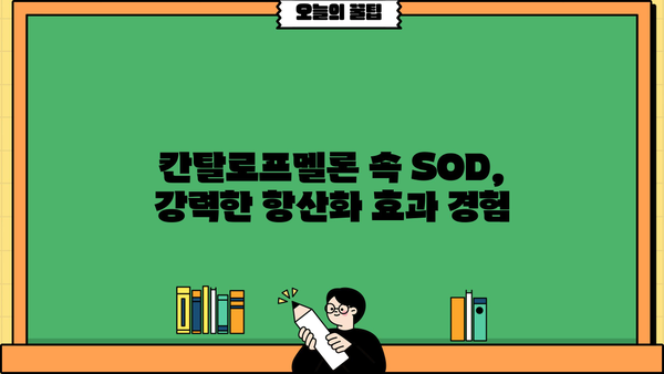 칸탈로프멜론의 놀라운 효능| 섭취부터 추출물, 부작용까지 | 칸탈로프멜론 효능, 칸탈로프멜론 추출물, 칸탈로프멜론 부작용, SOD 효능, 건강 정보