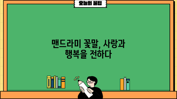 여성 건강 지키는 맨드라미 꽃의 놀라운 효능! | 맨드라미 꽃 차, 꽃말, 부작용까지 알아보기