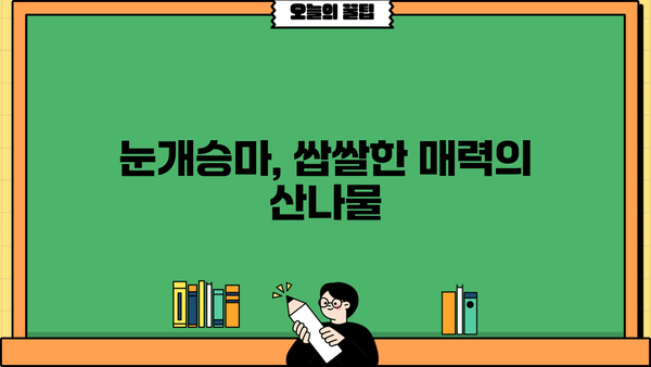 눈개승마 효능과 맛있는 나물 먹는 법 | 산나물, 건강식, 조리법, 레시피