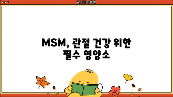 MSM 효능, 관절 건강 위한 선택! 편관보 가격 & 부작용 비교 분석 | MSM, 관절 영양제, 편관보, 가격 비교, 부작용 정보