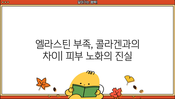 엘라스틴의 모든 것| 유래, 효능, 먹는 방법, 뜻, 추천, 부작용 | 콜라겐, 피부 탄력, 건강, 영양