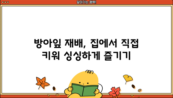 토종 허브 방아잎| 효능, 배초향 꽃말, 맛있게 먹는 법 | 방아잎, 배초향, 향신료, 요리, 효능, 꽃말, 재배
