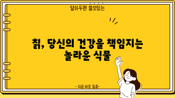 칡의 놀라운 효능과 칡즙 제대로 먹는 법 | 건강, 칡차, 칡뿌리, 칡 효능, 칡즙 만드는 법