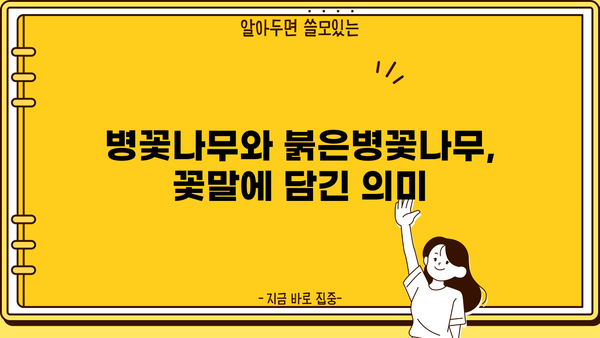 병꽃나무 & 붉은병꽃나무| 효능, 꽃차, 꽃말 그리고 더 알아야 할 모든 것 |  병꽃나무, 붉은병꽃나무, 효능, 꽃차, 꽃말, 재배, 종류