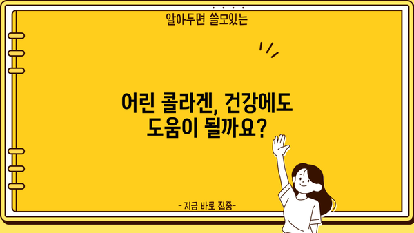 어린 콜라겐, 효능과 추천, 부작용 완벽 정리 | 피부 탄력, 건강, 섭취 가이드