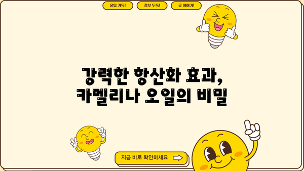 카멜리나 오일의 놀라운 효능| 피토스테롤 성분의 비밀 | 피부 건강, 콜레스테롤, 항산화