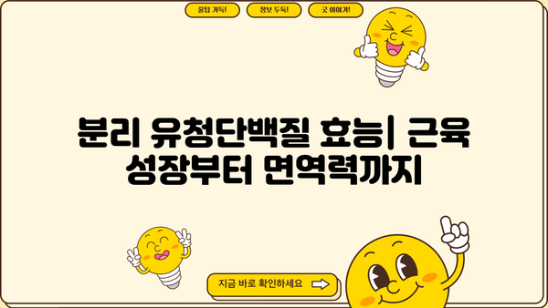 분리 유청단백질 효능, 락토프리 뜻부터 부작용까지! 추천 제품 & 섭취 가이드 | 단백질 보충, 운동, 건강