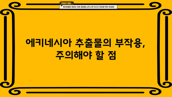 에키네시아 추출물 영양제| 효능과 부작용 완벽 가이드 | 면역력 강화, 감기 예방, 건강 정보