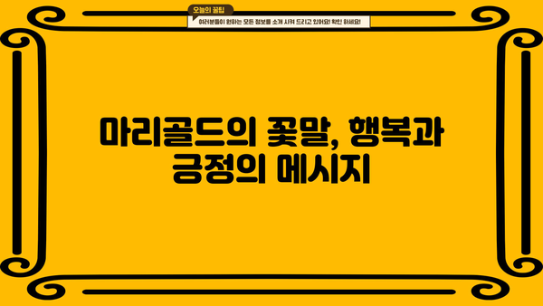 루테인, 지아잔틴 풍부한 마리골드 꽃차 효능과 꽃말 | 눈 건강, 항산화, 마리골드차 효능, 마리골드 꽃말