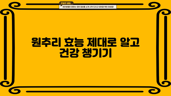 원추리 효능, 먹는 법, 꽃말까지! 근심 걱정 잊게 하는 원추리의 모든 것 | 원추리, 효능, 먹는 방법, 꽃말, 건강, 차, 약효, 재배