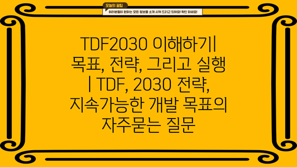 TDF2030 이해하기| 목표, 전략, 그리고 실행 | TDF, 2030 전략, 지속가능한 개발 목표