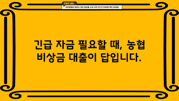 농협은행 비상금 대출| 급한 돈 문제, 빠르고 간편하게 해결하세요 | 비상금 대출, 긴급 자금, 대출 조건, 신청 방법