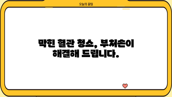 혈관 건강을 위한 특급 처방! 부처손의 놀라운 효능 | 혈관 건강, 부처손 효능, 혈액순환 개선, 건강 식단