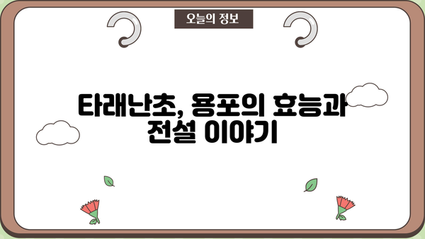 타래난초, 용포 효능 & 꽃말| 아름다움과 약효를 담은 신비로운 식물 | 타래난초, 용포, 효능, 꽃말, 약초, 전설