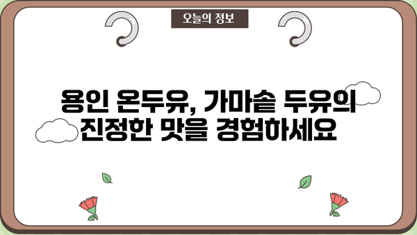 용인 온두유 수제 가마솥 두유| 국산콩 100%의 건강한 맛! | 생방송투데이, 두유 효능, 가마솥 두유