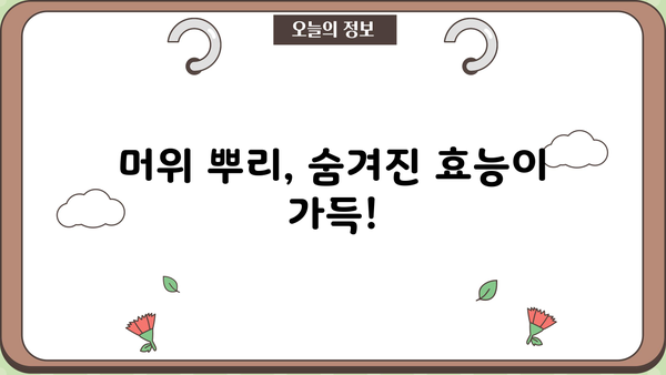 머위의 모든 것| 효능, 뿌리 효능, 먹는 법, 부작용까지 | 머위차, 머위나물, 머위 효능