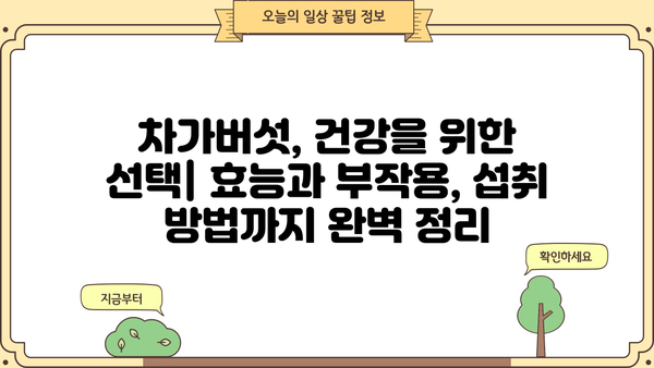 차가버섯 효능, 분말 & 차, 부작용까지 완벽 정리 | 건강, 면역, 항암 효과, 섭취 방법, 주의 사항