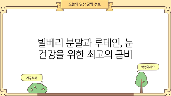 빌베리 효능 분말과 루테인, 시너지 효과를 위한 완벽한 조합 | 눈 건강, 안토시아닌, 블루베리, 건강기능식품