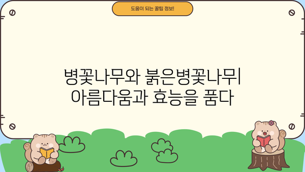 병꽃나무 & 붉은병꽃나무| 효능, 꽃차, 꽃말 그리고 더 알아야 할 모든 것 |  병꽃나무, 붉은병꽃나무, 효능, 꽃차, 꽃말, 재배, 종류