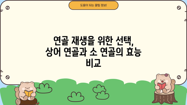 관절 건강, 상어 vs 소 연골| 콘드로이친 효능 비교 & 분말 추천 | 관절 통증, 연골 재생, 부작용