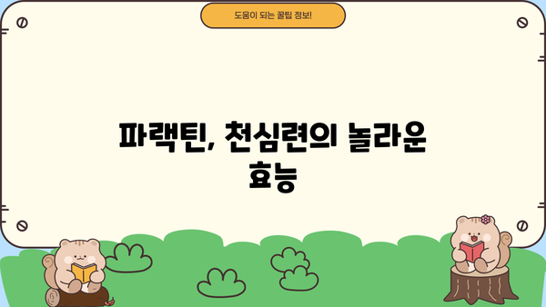 천심련 추출물 파랙틴| 효능과 부작용 완벽 가이드 | 천심련, 파랙틴, 건강, 효능, 부작용, 주의사항