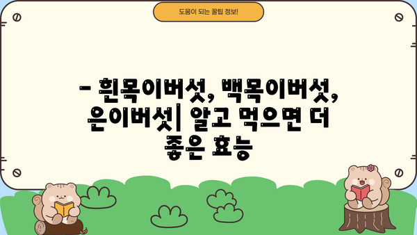 흰목이버섯, 백목이버섯, 은이버섯 효능 & 먹는 법 총정리 | 건강, 맛, 레시피