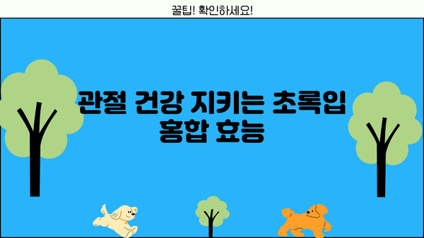 뉴질랜드 초록입 홍합 효능, 부작용 없이 건강하게 섭취하는 방법 | 초록입 홍합, 효능, 부작용, 섭취 가이드, 건강 정보