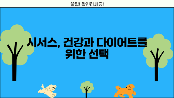 시서스 효능, 가루, 원산지, 다이어트, 부작용 완벽 정리 | 건강, 다이어트, 영양, 식품