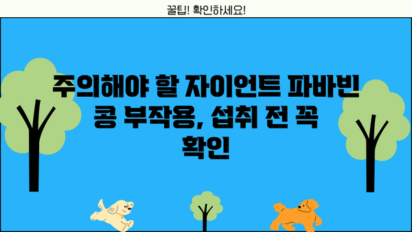 자이언트 파바빈 콩, 효능부터 부작용까지 완벽 가이드 | 건강, 식단, 영양, 섭취 방법