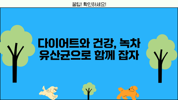 녹차 유산균의 놀라운 효능| 녹차 유래 유산균 & 식물성 유산균 추천 | 장 건강, 면역력, 다이어트, 녹차 효능