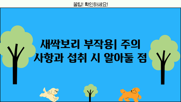 새싹보리 효능 제대로 알고 먹자! 분말, 가루 추천 & 먹는 법 & 부작용 총정리 | 건강, 다이어트, 영양