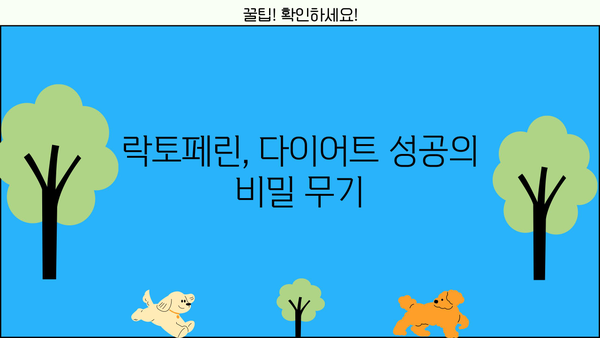 락토페린 효능 다이어트 추천| 체중 감량, 면역력 강화, 건강 관리까지! | 락토페린, 다이어트, 건강, 면역력, 효능