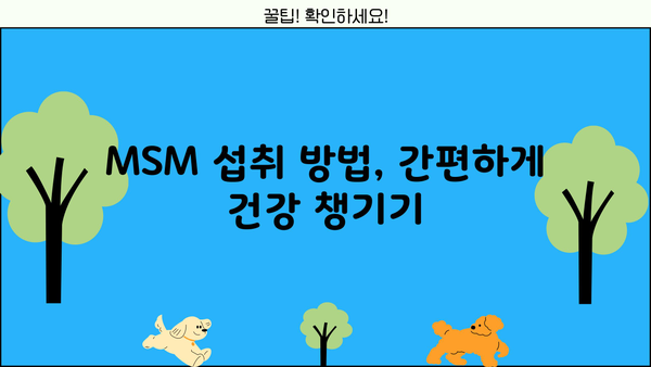 관절 건강을 위한 MSM 효능| 식이유황의 모든 것 | 관절 통증, 연골 건강, MSM 효과, 섭취 방법