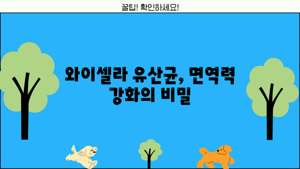 면역력 강화에 도움되는 와이셀라 유산균| 효능, NK세포 활성화, 부작용까지 | 면역, 장 건강, 건강 기능성