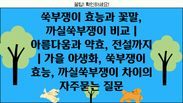 쑥부쟁이 효능과 꽃말, 까실쑥부쟁이 비교 | 아름다움과 약효, 전설까지 | 가을 야생화, 쑥부쟁이 효능, 까실쑥부쟁이 차이