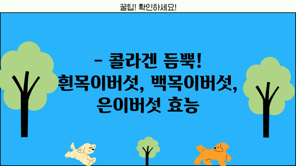 흰목이버섯, 백목이버섯, 은이버섯 효능 & 먹는 법 총정리 | 건강, 맛, 레시피