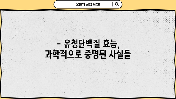 유청단백질 효능 제대로 알고 부작용 없이 먹는 완벽 가이드 | 건강, 운동, 단백질 보충, 섭취 방법, 주의사항